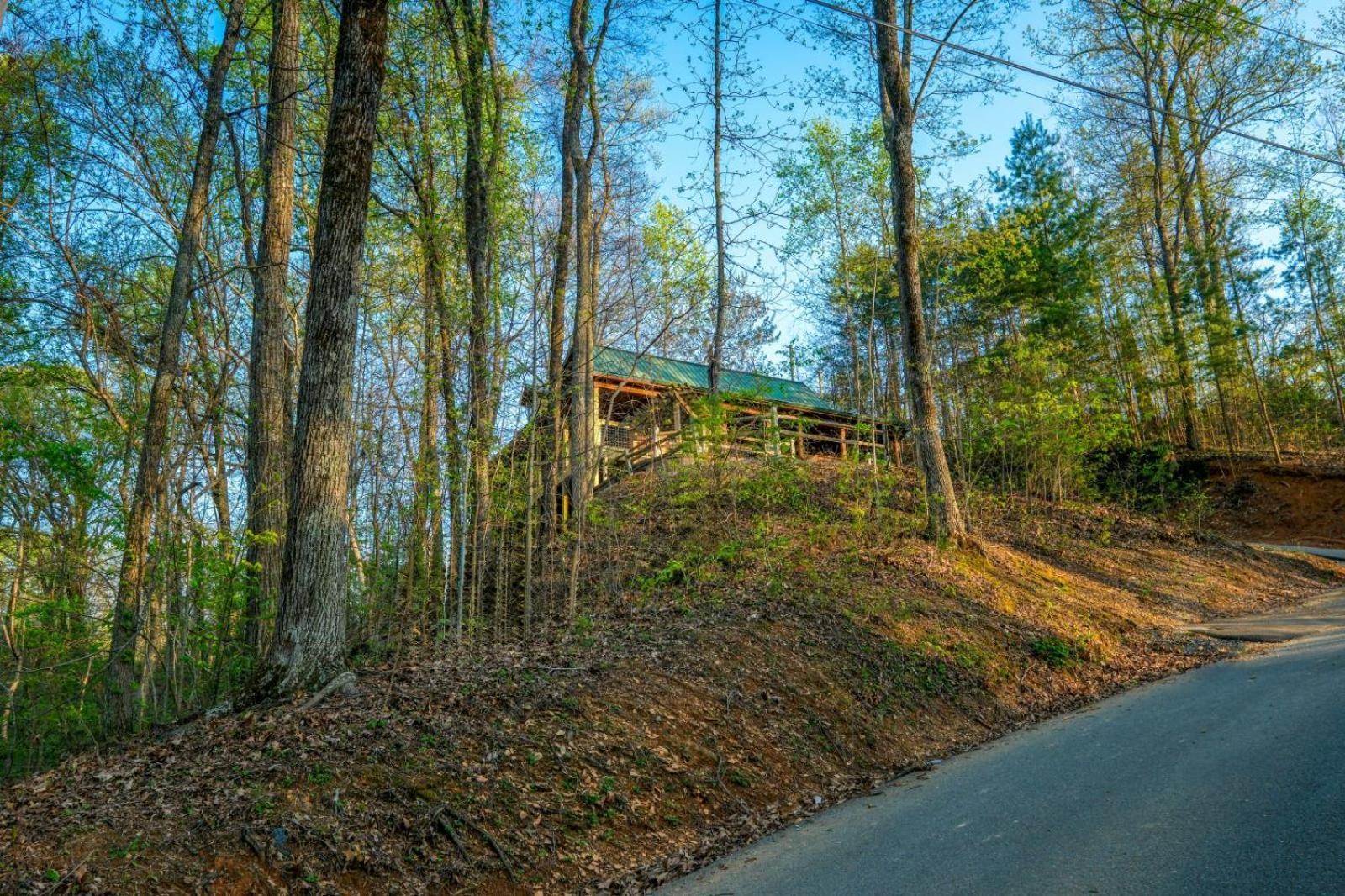 Little Bear Cabin Gatlinburg Kültér fotó